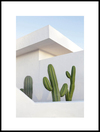 kaktus-och-arkitektur_30x40_WEBB.jpg